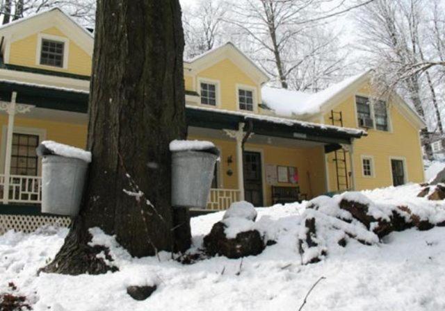 Tumble Inn Schroon Lake Dış mekan fotoğraf